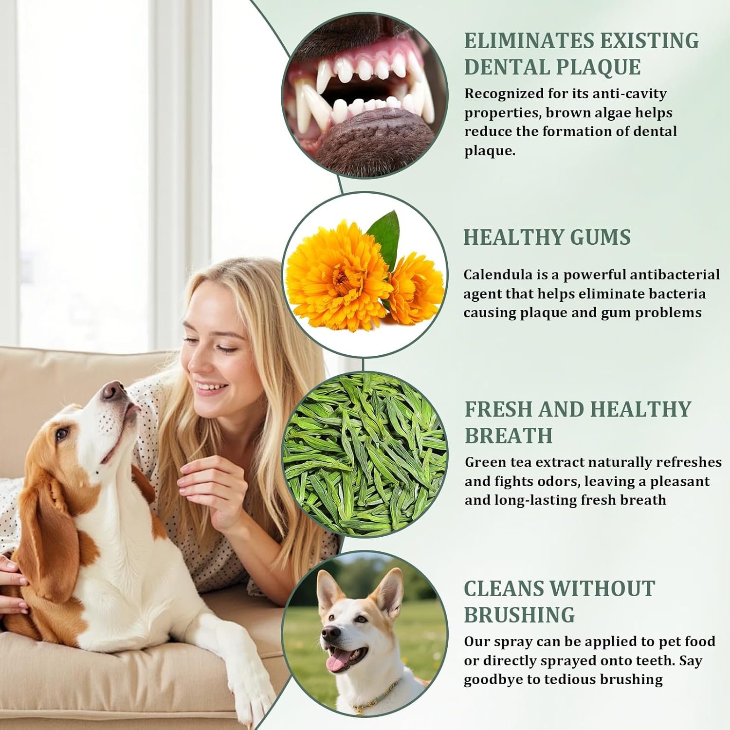 Dental Cleaning Spray for Dogs & Cats, 2 Pcs Dog Dental Spray, Natural Breath Freshener, Supports Gum Health, Easy Spray Use, 100ml