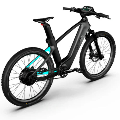 Mercedes-AMG PETRONAS F1® Team Rallye Edition 750 Electric Bike