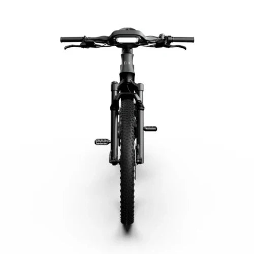 Mercedes-AMG PETRONAS F1® Team Rallye Edition 750 Electric Bike